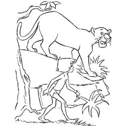 Animales salvajes / de la selva #672