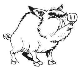 Animales salvajes / de la selva #676