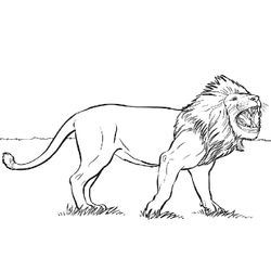 Animales salvajes / de la selva #678