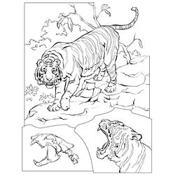 Animales salvajes / de la selva #681