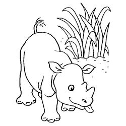 Animales salvajes / de la selva #682