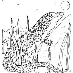 Animales salvajes / de la selva #690