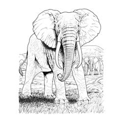 Animales salvajes / de la selva #697