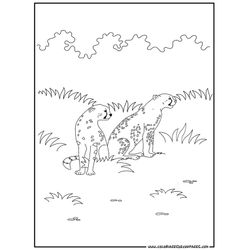 Animales salvajes / de la selva #701