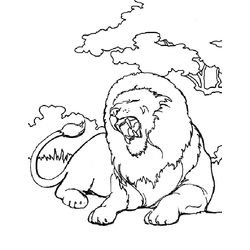 Animales salvajes / de la selva #706