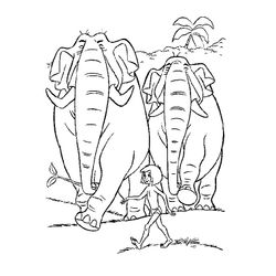 Animales salvajes / de la selva #714