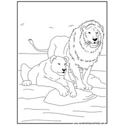 Animales salvajes / de la selva #728