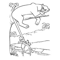 Animales salvajes / de la selva #735