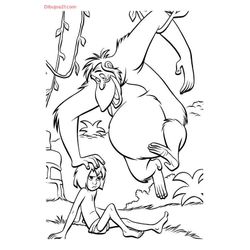 Animales salvajes / de la selva #749
