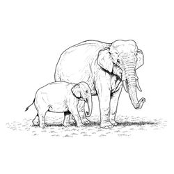 Animales salvajes / de la selva #760