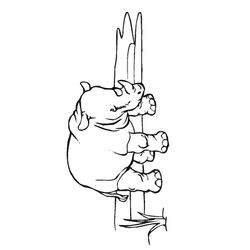 Animales salvajes / de la selva #764