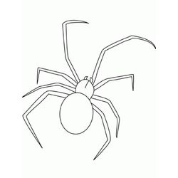 Araña #847