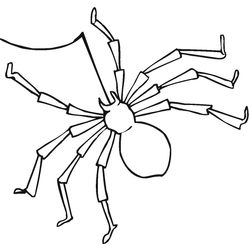 Araña #851