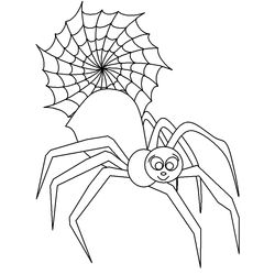 Araña #852