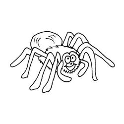 Araña #855