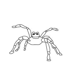 Araña #863