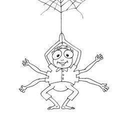 Araña #869