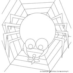 Araña #872