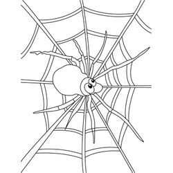 Araña #873