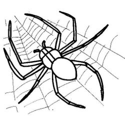 Araña #875