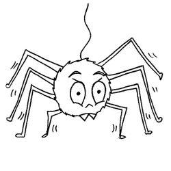 Araña #877
