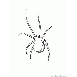 Araña #878
