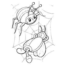 Araña #883