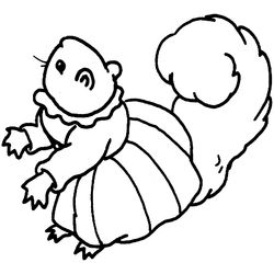Ardilla #982