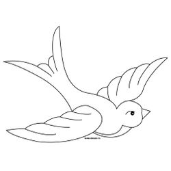Aves #1011