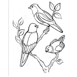 Aves #1012