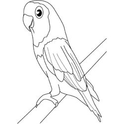 Aves #1015