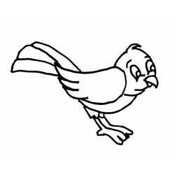 Aves #1020