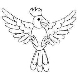 Aves #1021