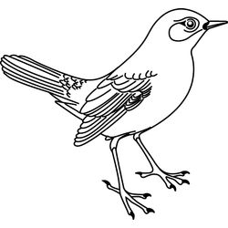 Aves #1022