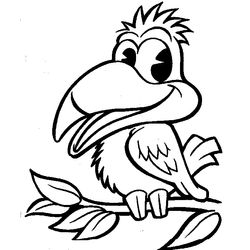Aves #1029