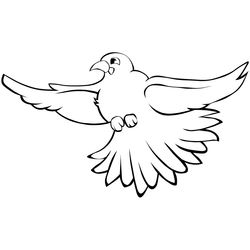 Aves #1032