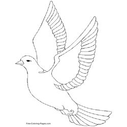 Aves #1044