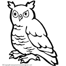 Aves #1045