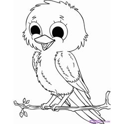 Aves #1050