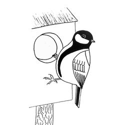 Aves #1056