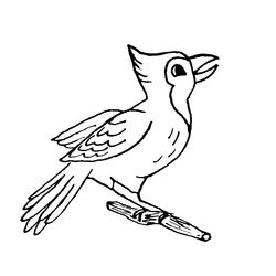 Aves #1066