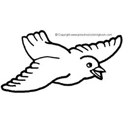 Aves #1068
