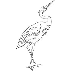 Aves #1069