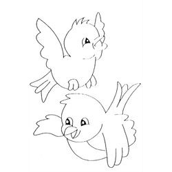 Aves #1072