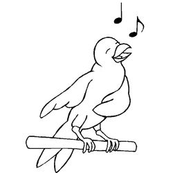 Aves #1074