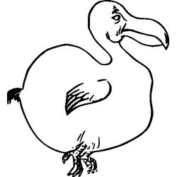 Aves #1080