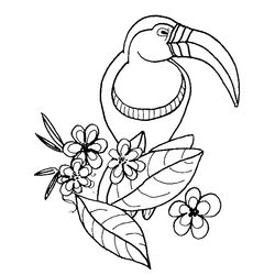 Aves #1082