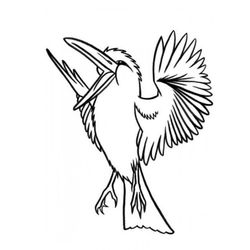 Aves #1085