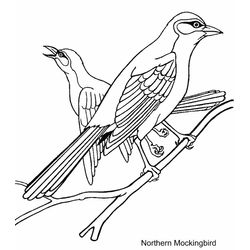 Aves #1093