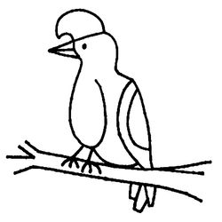 Aves #1100